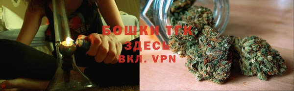 СК Михайлов