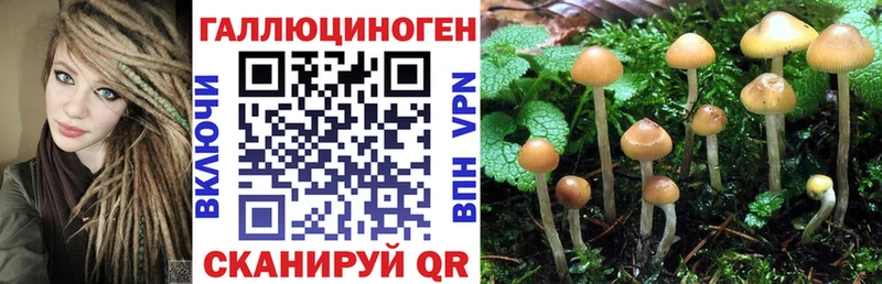 blacksprut рабочий сайт  Тула  Галлюциногенные грибы Cubensis 