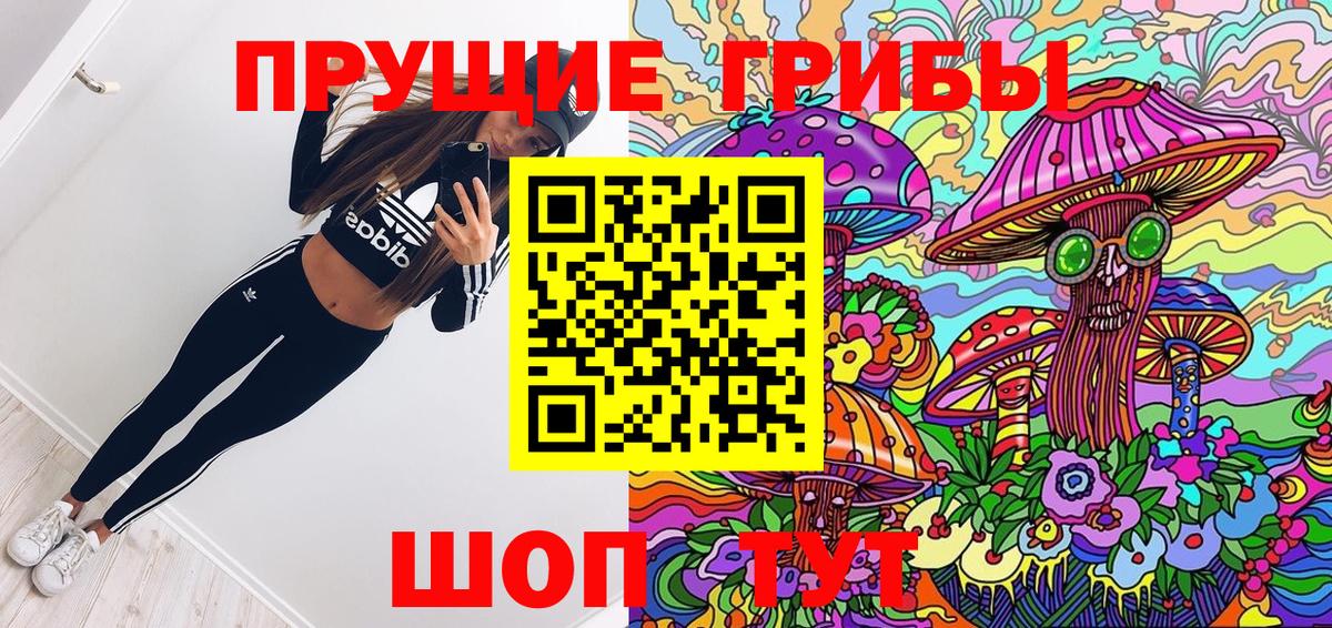 Галлюциногенные грибы Psilocybe Тула
